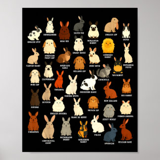 Cute Rabbit Lover Bunny Breeds Rabbit Poster