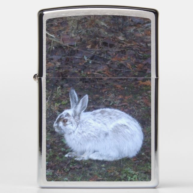 Cute Rabbit on Lawn in Spring Zippo Lighter (Front)