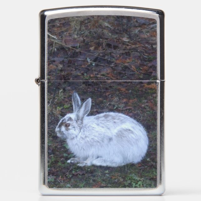 Cute Rabbit on Lawn in Spring Zippo Lighter (Front)
