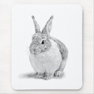 Cute Rabbit Pencil Drawing