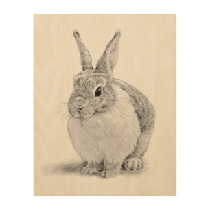 Cute Rabbit Pencil Drawing Wood Wall Art