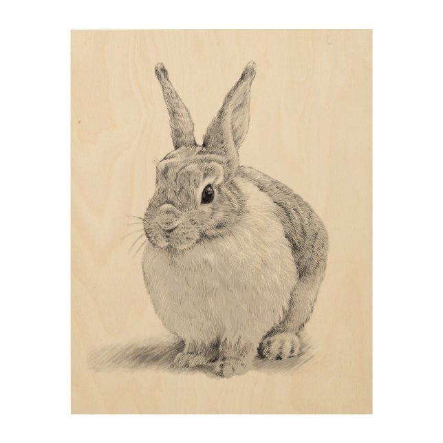 Cute Rabbit Pencil Drawing Wood Wall Art (Front)