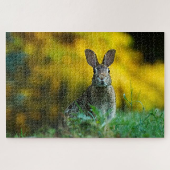 Cute rabbit photo jigsaw puzzle (Horizontal)