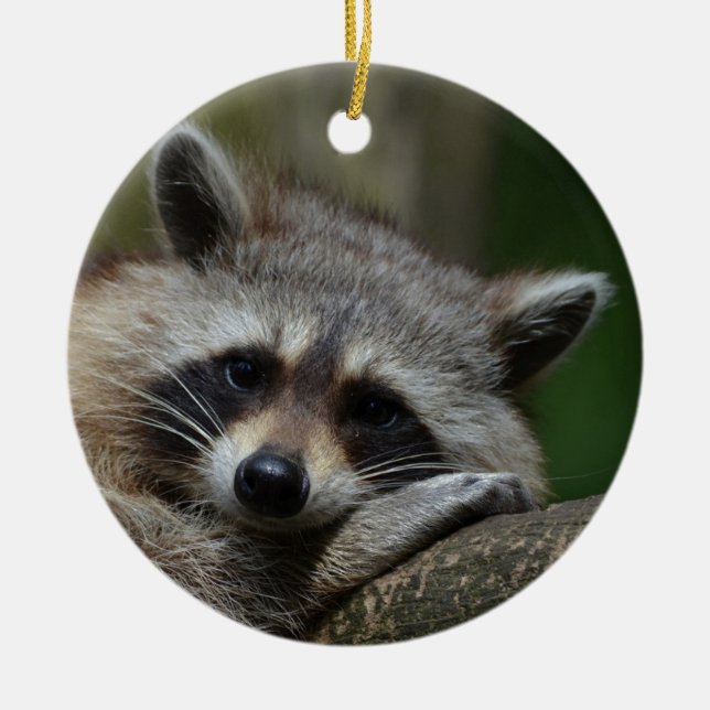 Cute Raccoon Ceramic Ornament (Front)