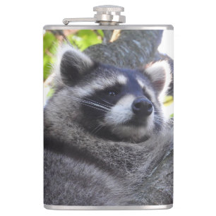 Cute Raccoon Close UP Flask