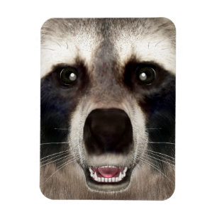 Cute Raccoon Head Funny Animal Portrait Magnet