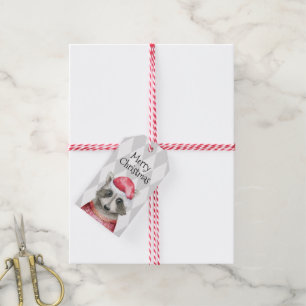 Cute Raccoon in Santa Hat Christmas Holiday Gift Tags
