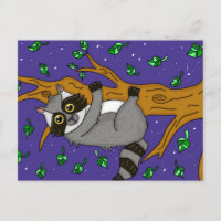 Cute Raccoon in Tree, Just saying Hello