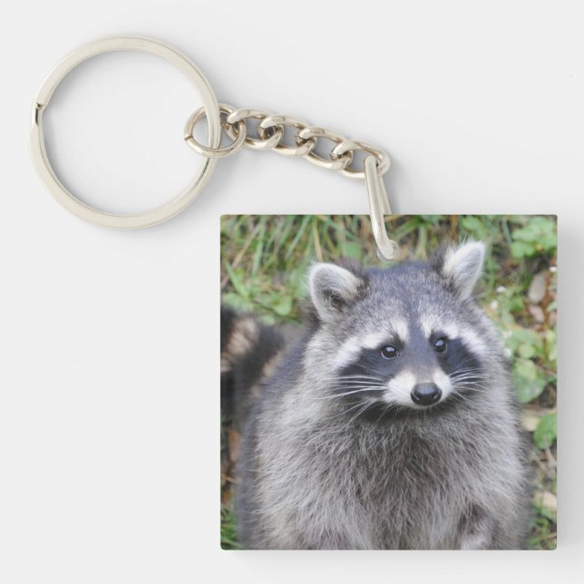 Cute Raccoon Keychain (Front)