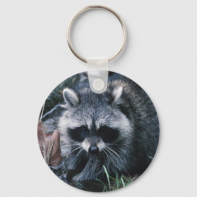 Cute Raccoon Keychain (Front)
