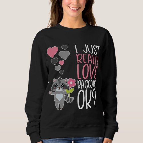 Cute Raccoon Lover I Just Really Love Raccoons OK Sweatshirt