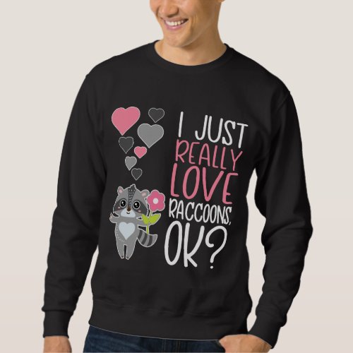 Cute Raccoon Lover I Just Really Love Raccoons OK Sweatshirt
