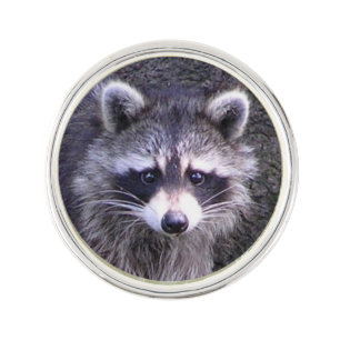 Cute Raccoon Pin