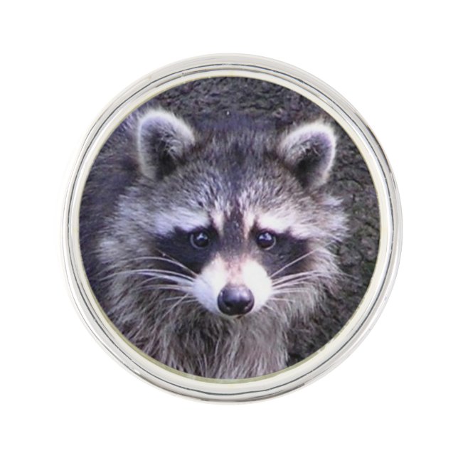 Cute Raccoon Pin (Front)