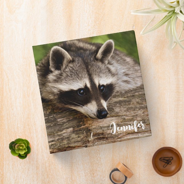 Cute Raccoon Resting on a Log 3 Ring Binder (In Situ)
