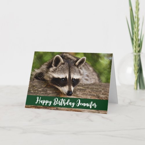 Cute Raccoon Resting on a Log Birthday Card