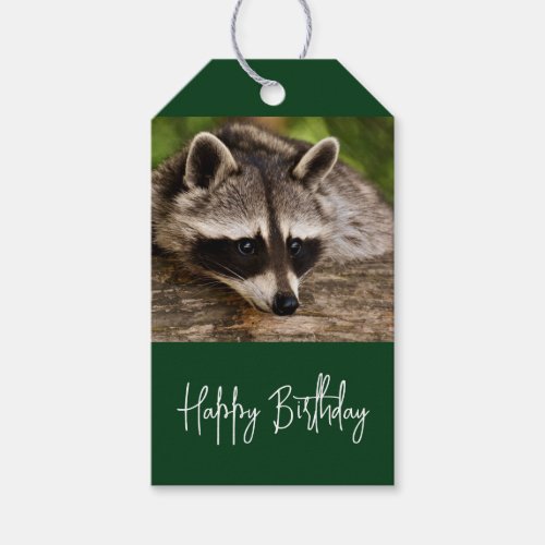 Cute Raccoon Resting on a Log Birthday Gift Tags