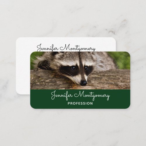 Cute Raccoon Resting on a Log Business Card