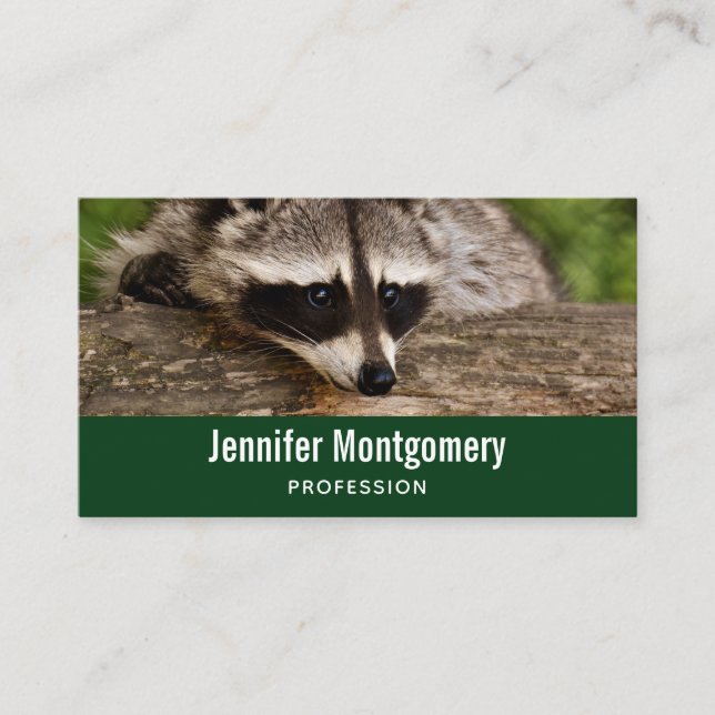 Cute Raccoon Resting on a Log Business Card (Front)