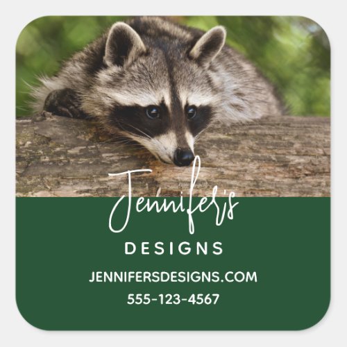 Cute Raccoon Resting on a Log Business Square Sticker