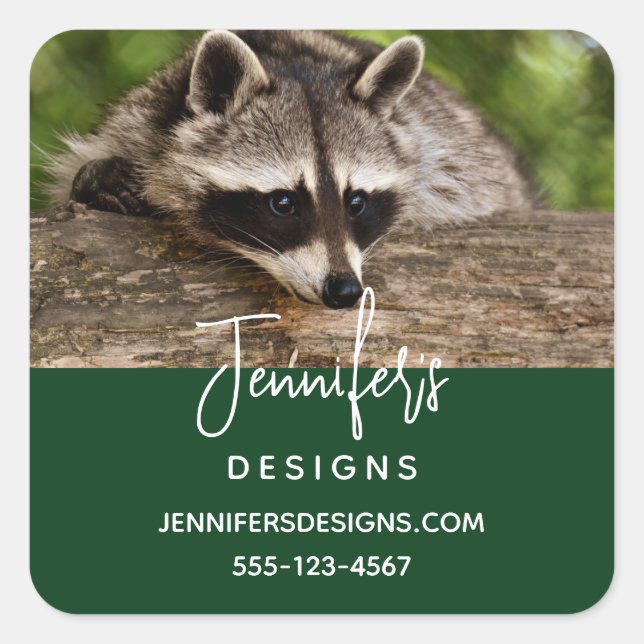 Cute Raccoon Resting on a Log Business Square Sticker (Front)