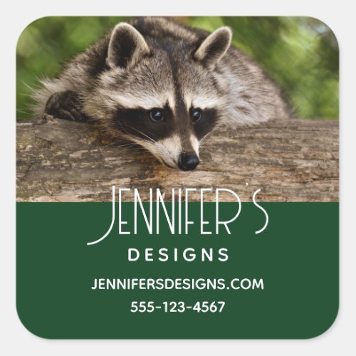 Cute Raccoon Resting on a Log Business Square Sticker