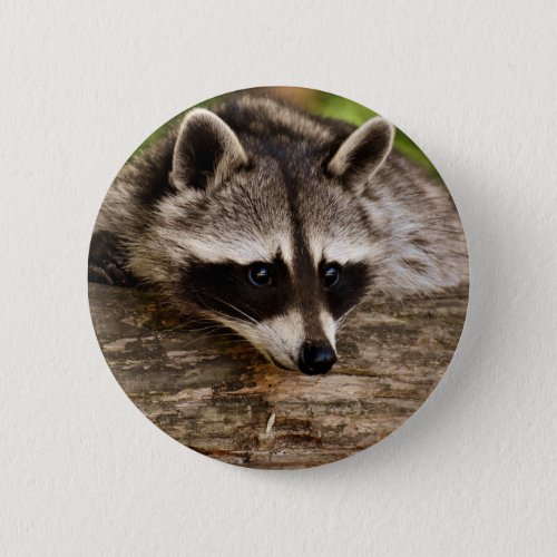 Cute Raccoon Resting on a Log Button