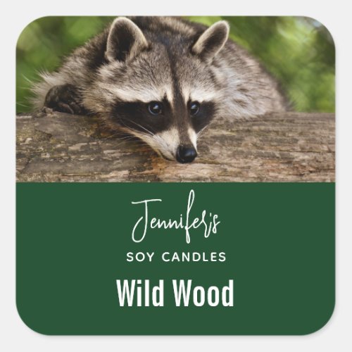Cute Raccoon Resting on a Log Candle Business Square Sticker