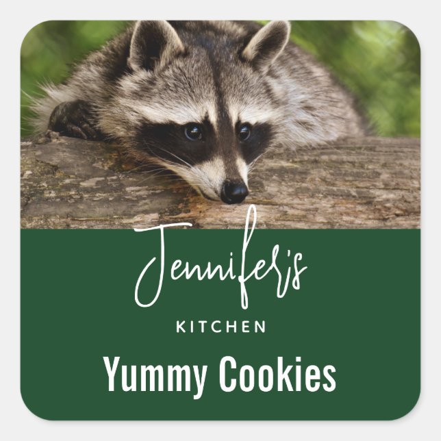 Cute Raccoon Resting on a Log Candle Kitchen Square Sticker (Front)