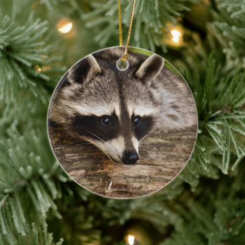 Cute Raccoon Resting on a Log Ceramic Ornament