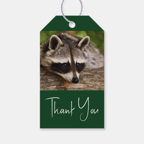 Cute Raccoon Resting on a Log Gift Tags