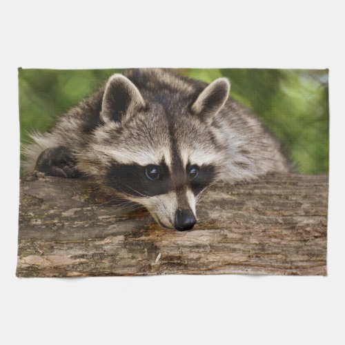 Cute Raccoon Resting on a Log Kitchen Towel
