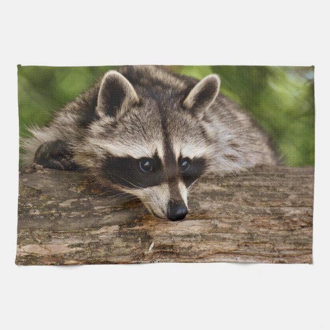 Cute Raccoon Resting on a Log Kitchen Towel (Horizontal)