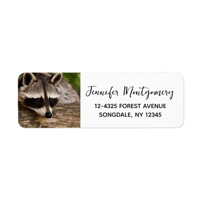 Cute Raccoon Resting on a Log Label (Front)