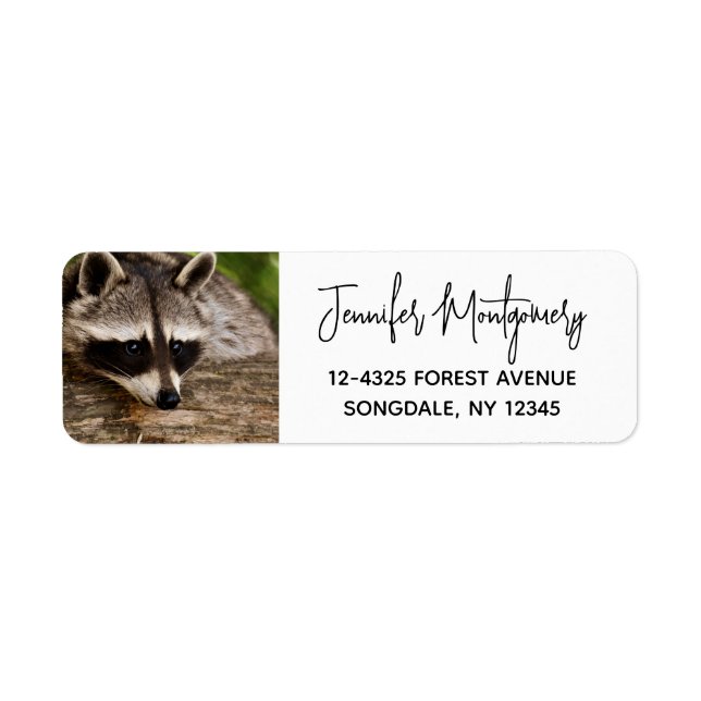 Cute Raccoon Resting on a Log Label (Front)