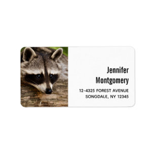 Cute Raccoon Resting on a Log Label