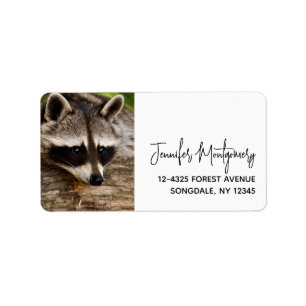 Cute Raccoon Resting on a Log Label