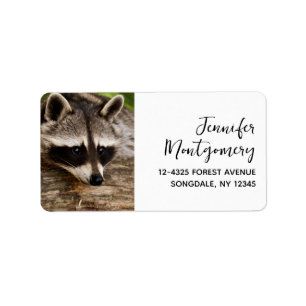 Cute Raccoon Resting on a Log Label