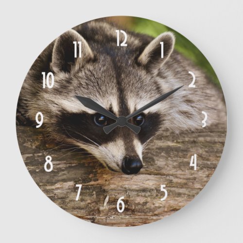 Cute Raccoon Resting on a Log Large Clock