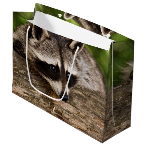 Cute Raccoon Resting on a Log Large Gift Bag