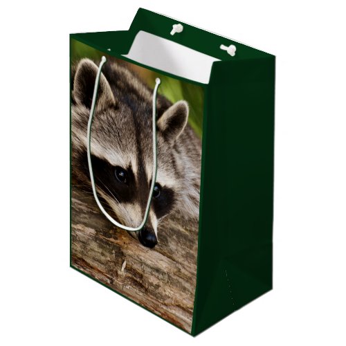 Cute Raccoon Resting on a Log Medium Gift Bag