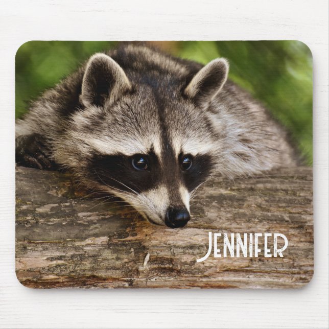 Cute Raccoon Resting on a Log Mouse Pad (Front)