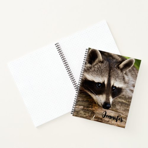 Cute Raccoon Resting on a Log Notebook