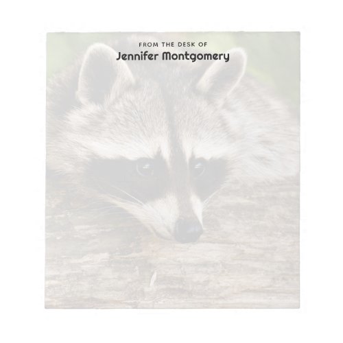Cute Raccoon Resting on a Log Notepad