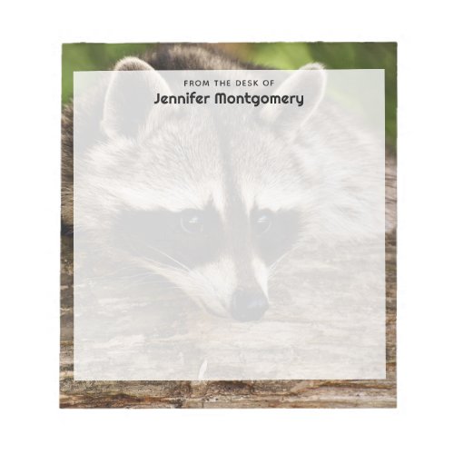 Cute Raccoon Resting on a Log Notepad
