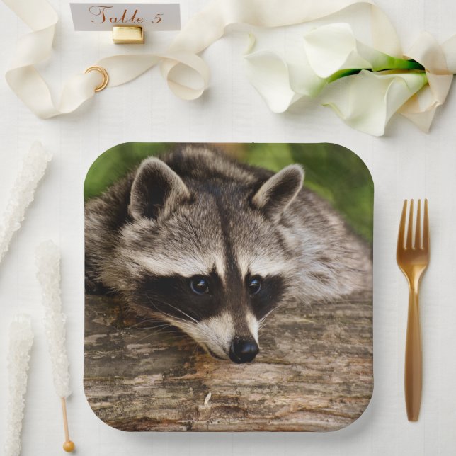 Cute Raccoon Resting on a Log Paper Plates (Wedding)