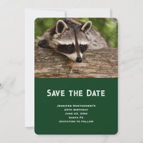 Cute Raccoon Resting on a Log Save The Date