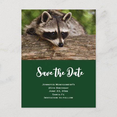 Cute Raccoon Resting on a Log Save the Date Invitation Postcard