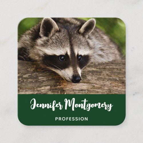 Cute Raccoon Resting on a Log Square Business Card
