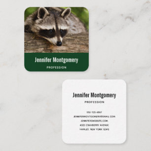 Cute Raccoon Resting on a Log Square Business Card